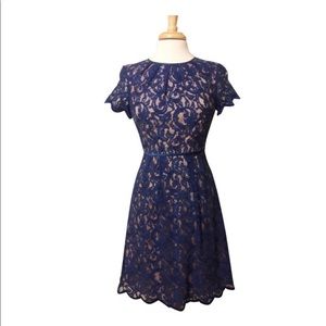 Adrianna Papell Royal Blue Dress with Lace Overlay